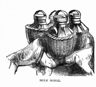 leche lechero caballo tinaja