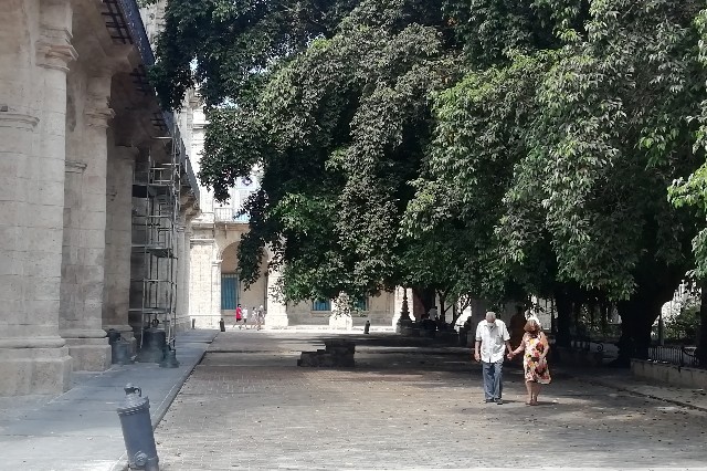 Calle Tacon Habana