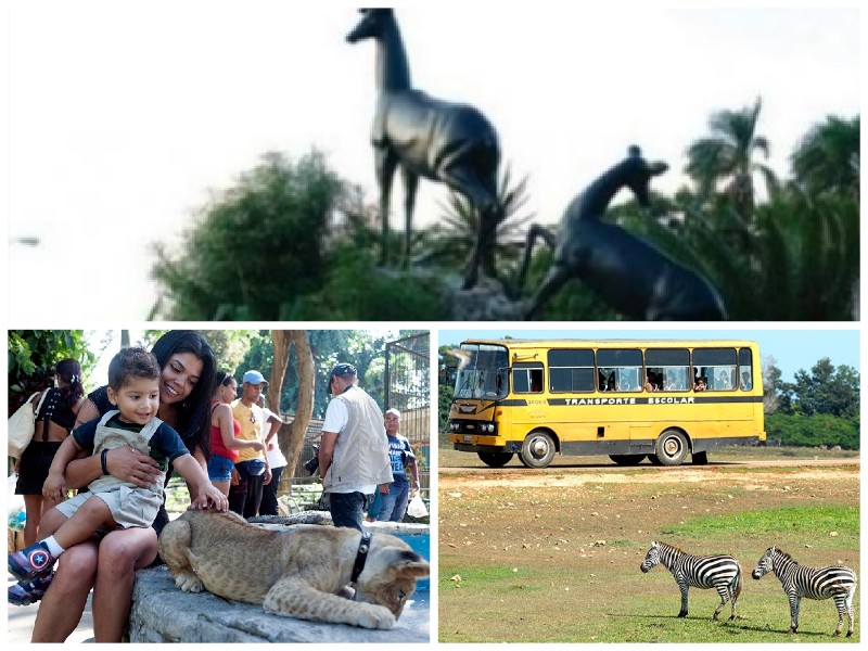 Reabren sus puertas zoológicos de La Habana
