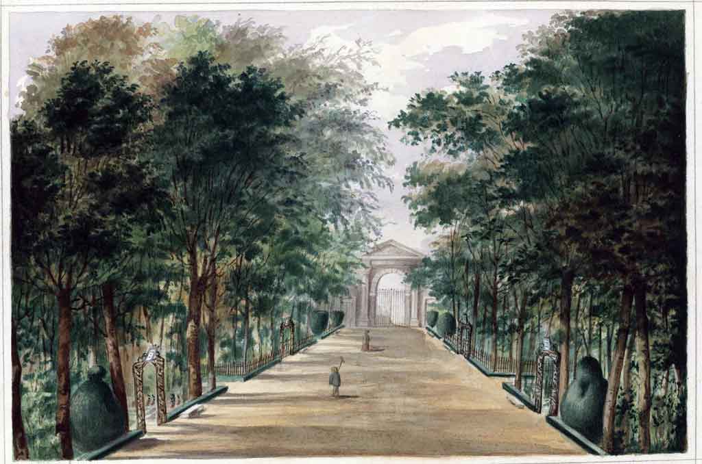 1869_Vista_del_Real_Jardín_Botánico_desde_el_interior