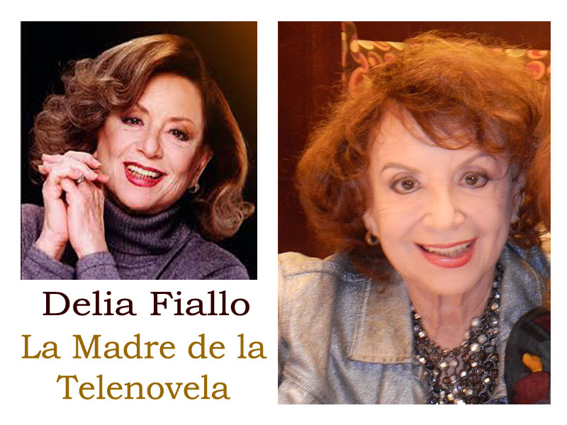 Banner Delia Fiallo