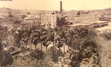 De La Tropical a la Cristal, historia de una cerveza en Cuba