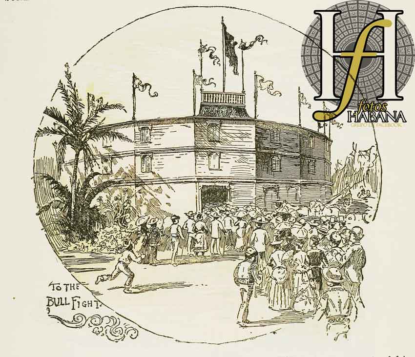 1888-dibujo-de-Rea-Campbell-sobre-la-plaza-de-toros-de-Infanta